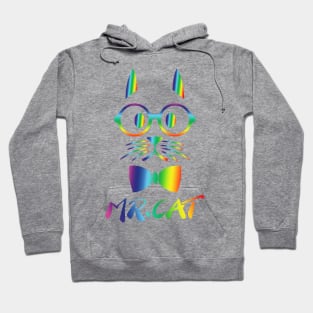 Colorful Mr Cat Hoodie